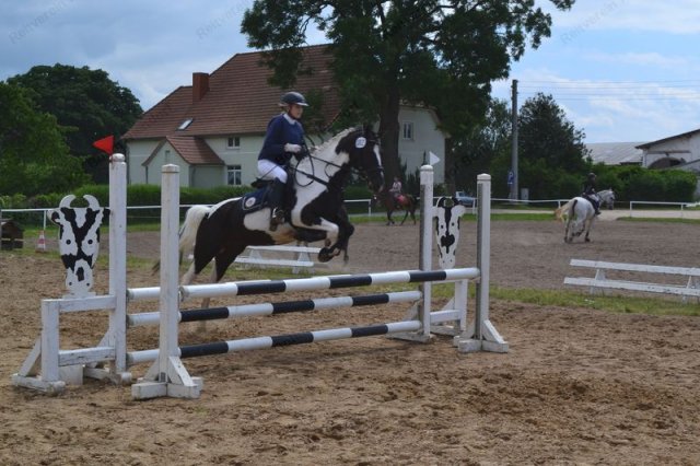 reitertag 2013 101
